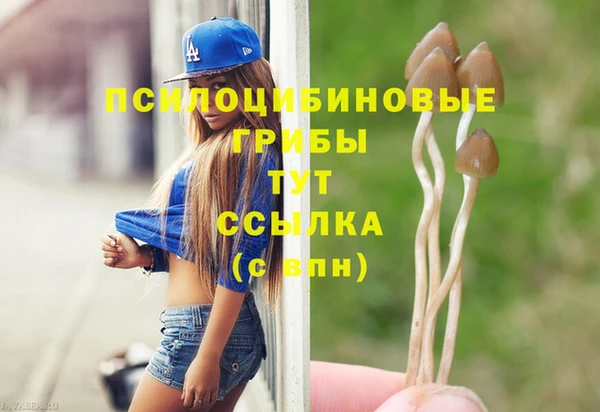 дмт Верея